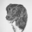 Cloe