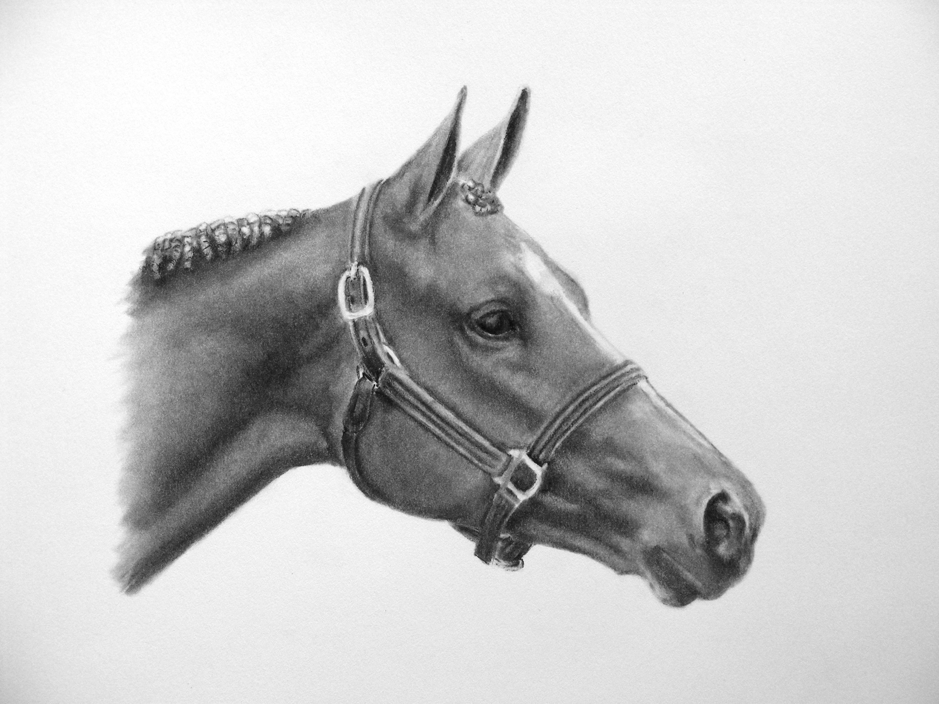 Dorthy Gail Detail