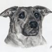 Maggie