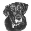 Zoey